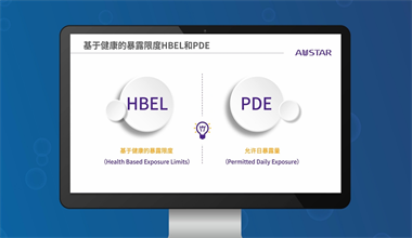允许日暴露量PDE的制定